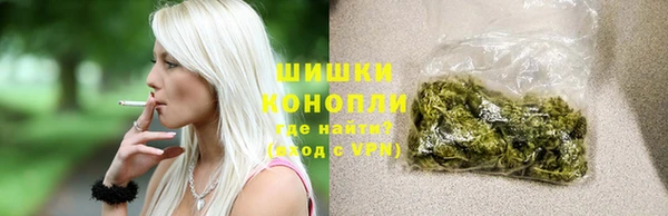 spice Богородск