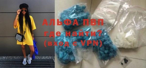 spice Богородск