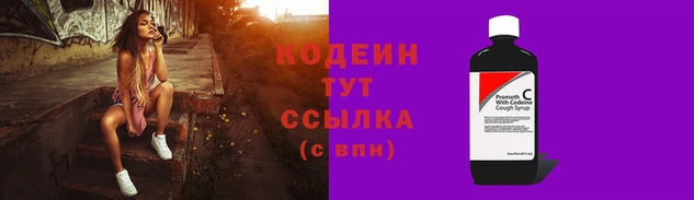 spice Богородск