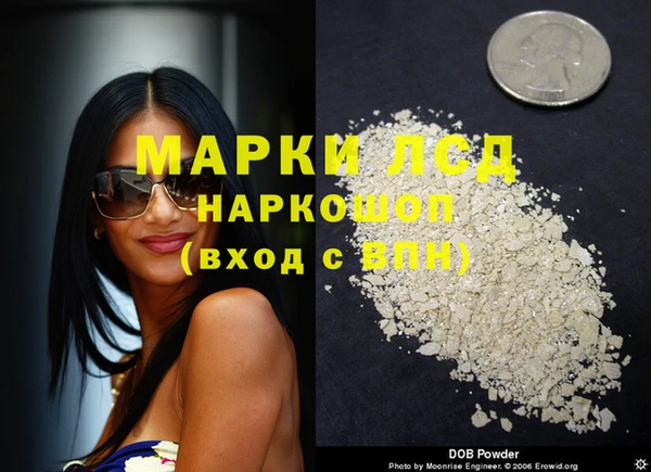стафф Богданович