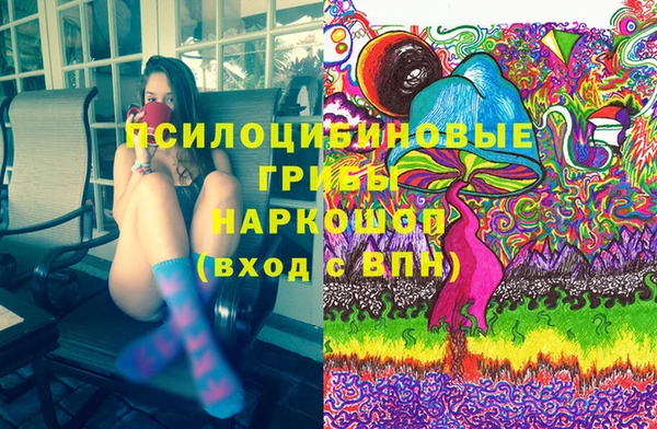 стафф Богданович