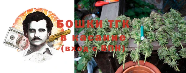 spice Богородск